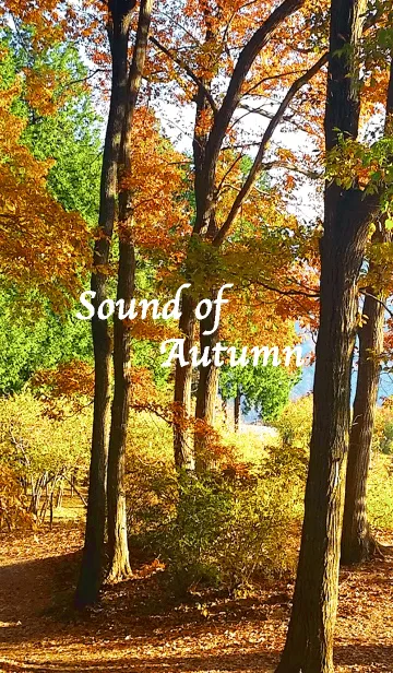 [LINE着せ替え] Sound of Autumnの画像1