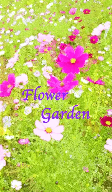 [LINE着せ替え] Flower Garden！の画像1