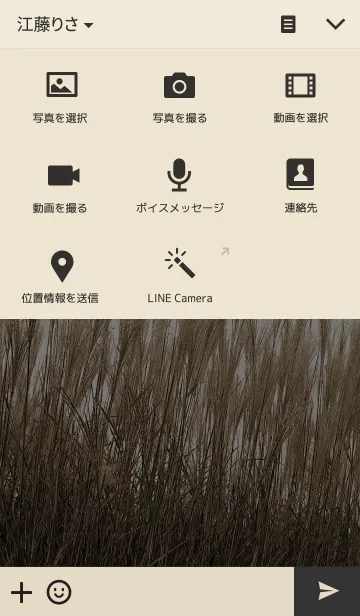 [LINE着せ替え] Silver grassの画像4