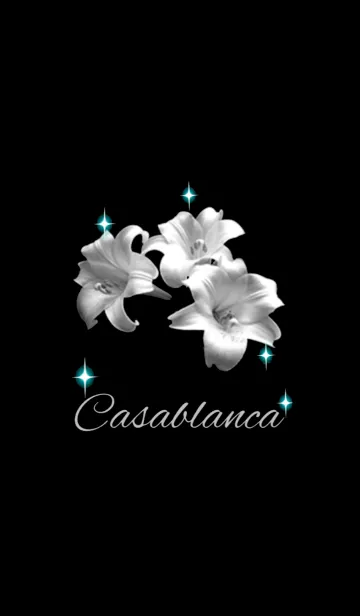 [LINE着せ替え] Casablancaの画像1