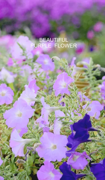 beautiful purple flowerの着せ替えメイン画像