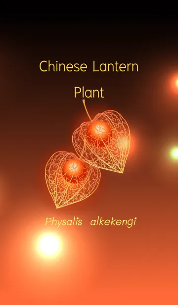 [LINE着せ替え] ホオズキの画像1