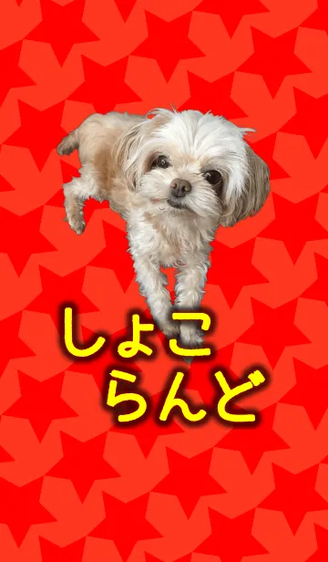 [LINE着せ替え] しょこらんどの画像1