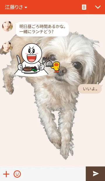 [LINE着せ替え] しょこらんどの画像3