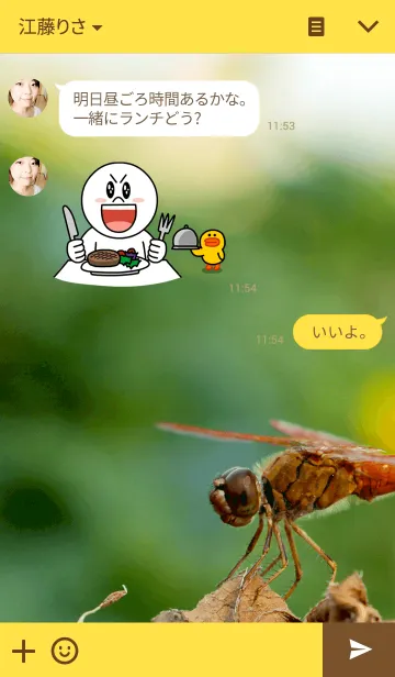 [LINE着せ替え] THE DRAGONFLYの画像3