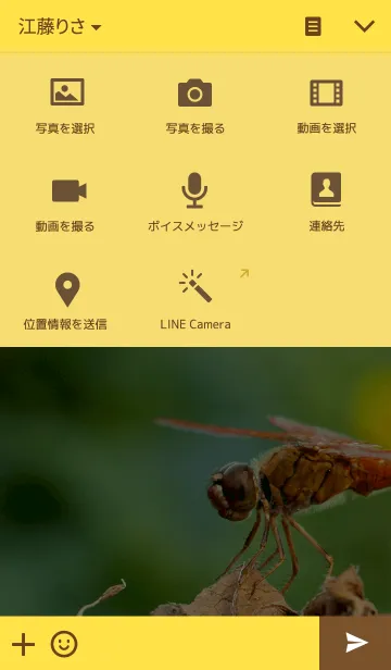 [LINE着せ替え] THE DRAGONFLYの画像4