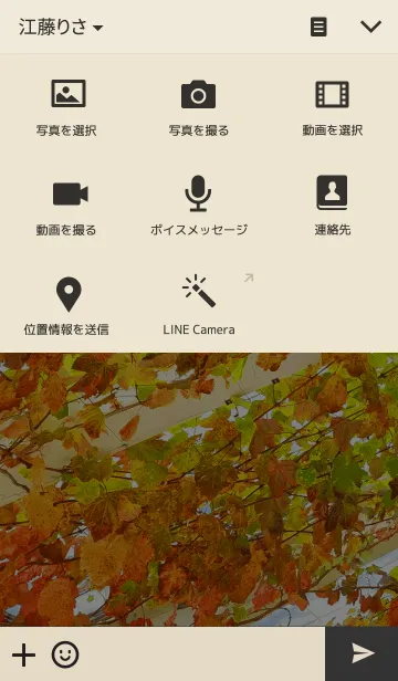 [LINE着せ替え] Color of Autumnの画像4