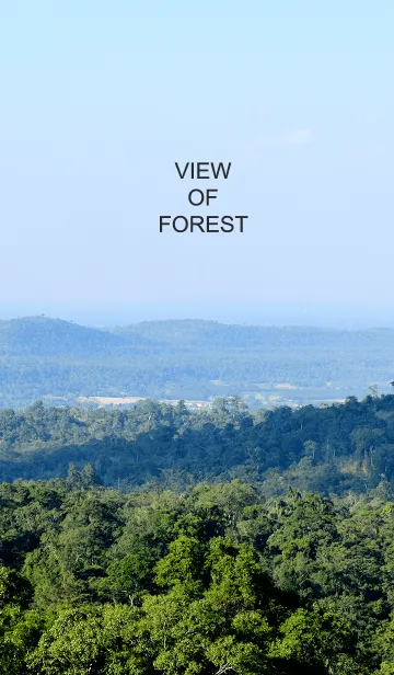 view of forestの着せ替えメイン画像