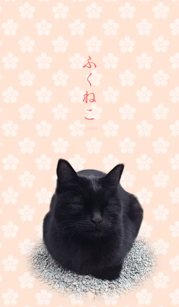 [LINE着せ替え] ふくねこの画像1