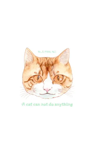 [LINE着せ替え] 何もできない猫の画像1