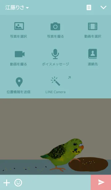 [LINE着せ替え] MY LOVELY PARROTの画像4