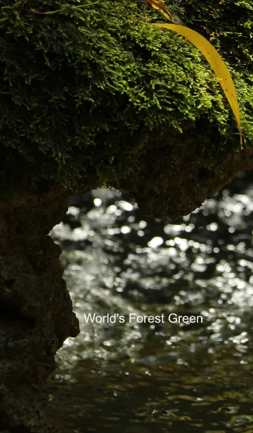[LINE着せ替え] World's Forest Greenの画像1