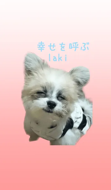 [LINE着せ替え] 幸せを呼ぶ❤lakiの画像1