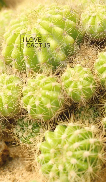 [LINE着せ替え] I LOVE CACTUSの画像1