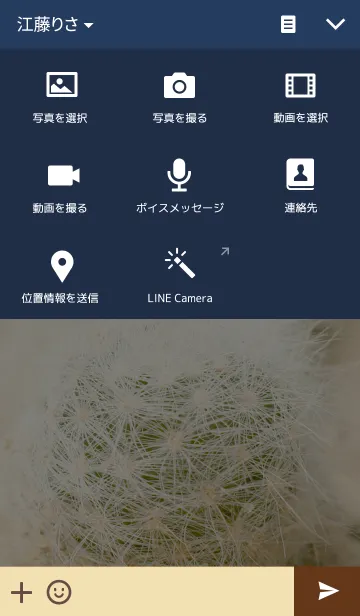 [LINE着せ替え] I LOVE CACTUSの画像4
