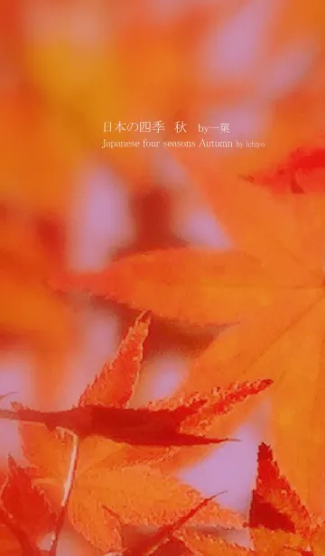 [LINE着せ替え] 日本の四季 秋 by一葉の画像1