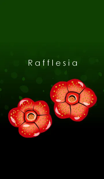 [LINE着せ替え] Rafflesiaの画像1