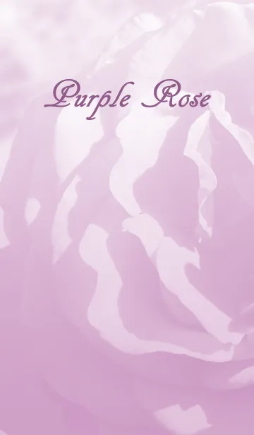 [LINE着せ替え] 紫の薔薇の画像1