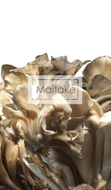 [LINE着せ替え] キノコが好きなあなたに「まいたけ」実写版の画像1