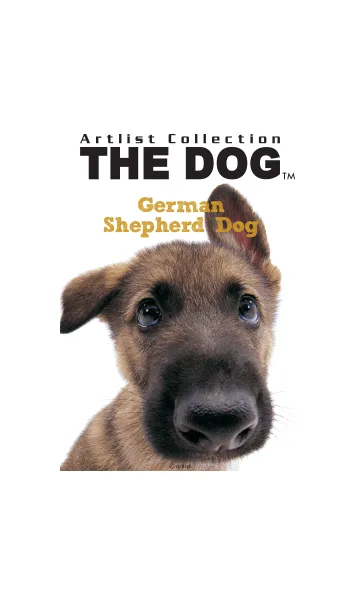 [LINE着せ替え] THE DOG ジャーマン•シェパード•ドッグの画像1