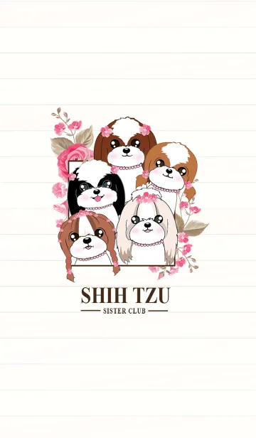 [LINE着せ替え] Shih Tzu sister clubの画像1