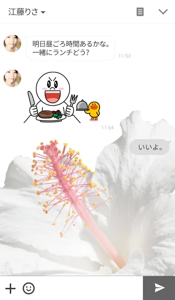 [LINE着せ替え] パラダイス ガーデン-14の画像3