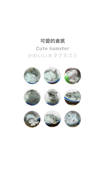 [LINE着せ替え] かわいいキヌゲネズミの画像1