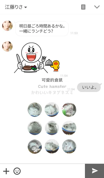 [LINE着せ替え] かわいいキヌゲネズミの画像3