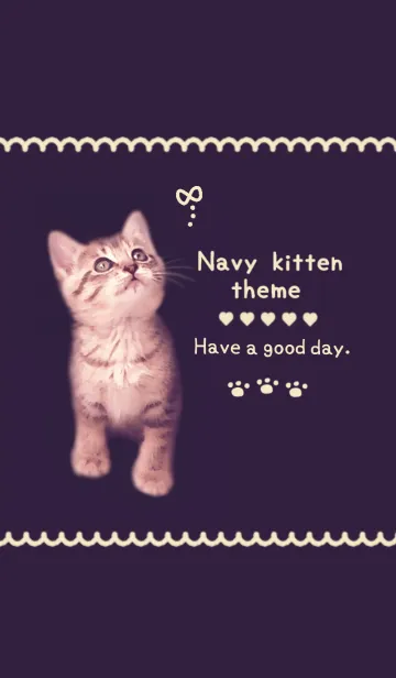 [LINE着せ替え] Navy kittenの画像1