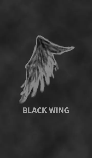 [LINE着せ替え] BLACK WINGの画像1