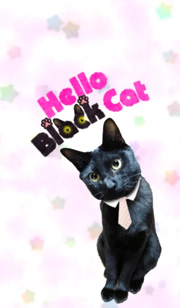 [LINE着せ替え] こんにちは黒猫さん！の画像1