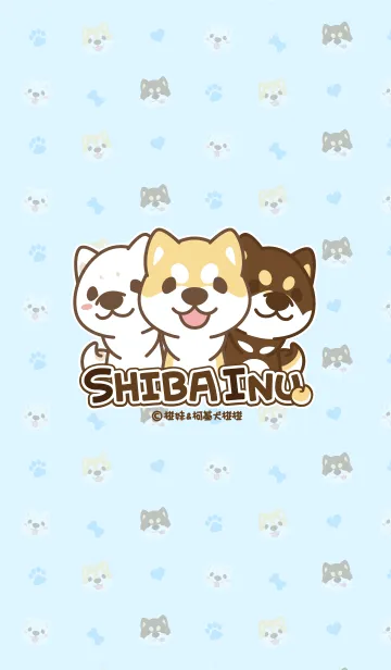 [LINE着せ替え] Shiba Inu collection！の画像1