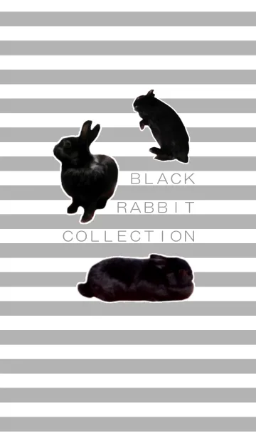 ブラック ラビット コレクションの着せ替えメイン画像