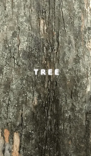 T R E E.ver1.2の着せ替えメイン画像