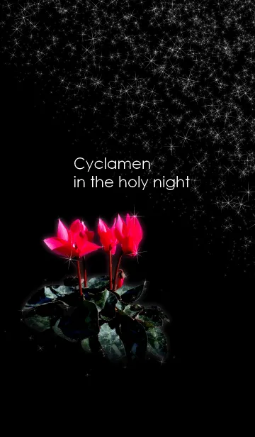 [LINE着せ替え] Cyclamen in the holy nightの画像1