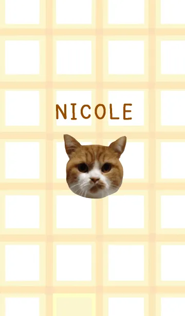 [LINE着せ替え] NICOLEの画像1
