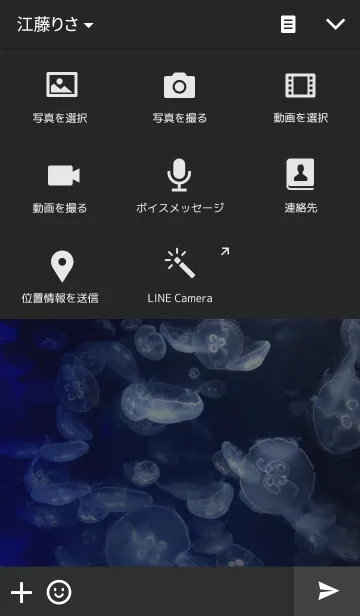 [LINE着せ替え] Jellyfish Lightの画像4