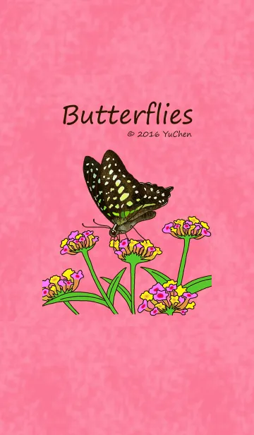 [LINE着せ替え] Butterflies ＆ Caterpillar 2の画像1