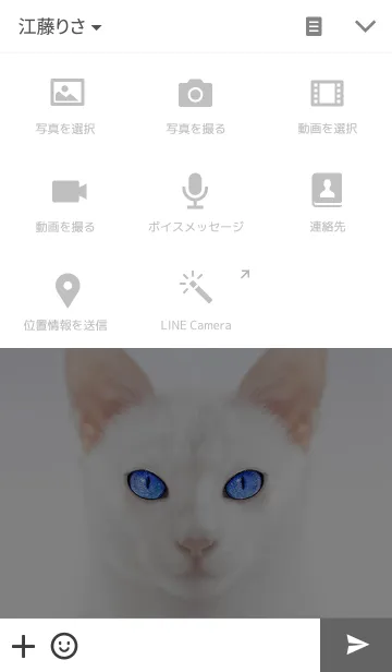 [LINE着せ替え] Cosmic Eyes -Cats-の画像4