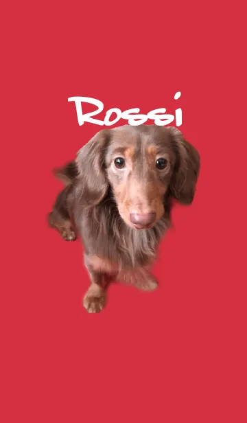 [LINE着せ替え] ロッシの画像1