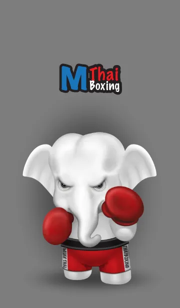 M.thai Boxingの着せ替えメイン画像