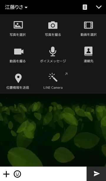 [LINE着せ替え] Leaf Dustの画像4