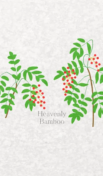 [LINE着せ替え] Heavenly Bamboo ~ナンテン~の画像1