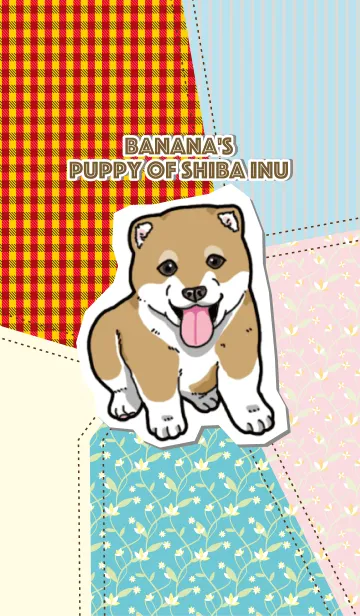 ばな菜の柴犬こいぬの着せ替えメイン画像