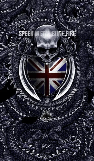 [LINE着せ替え] パイレーツ・オブ・スカルドラゴン 3の画像1