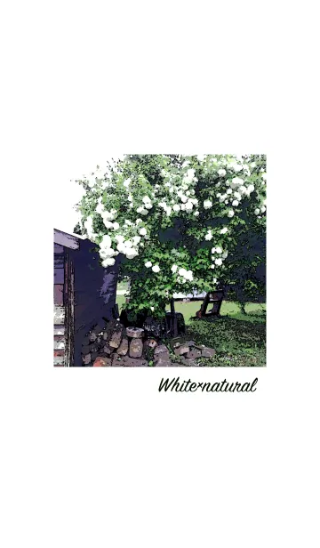 [LINE着せ替え] White×naturalの画像1