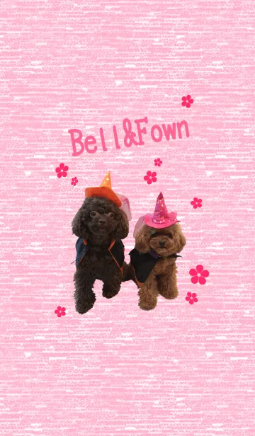 [LINE着せ替え] Bell＆Fownのコスプレの画像1