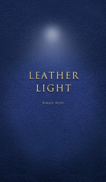 高級な革〜Leather Light〜の着せ替えメイン画像