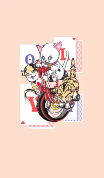 [LINE着せ替え] いつもいっしょっ！！なかよしネコさんの画像1