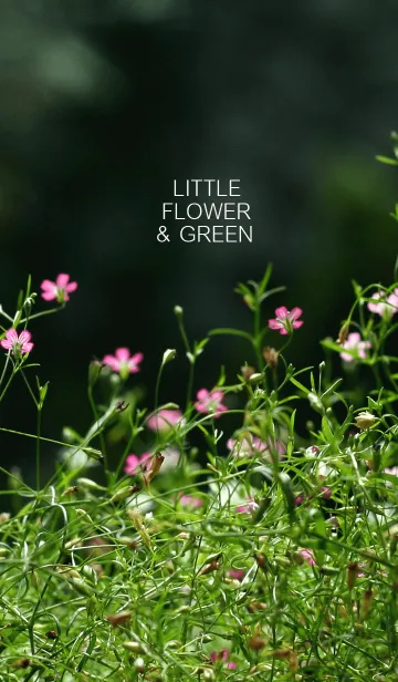 [LINE着せ替え] Little flower ＆ Greenの画像1